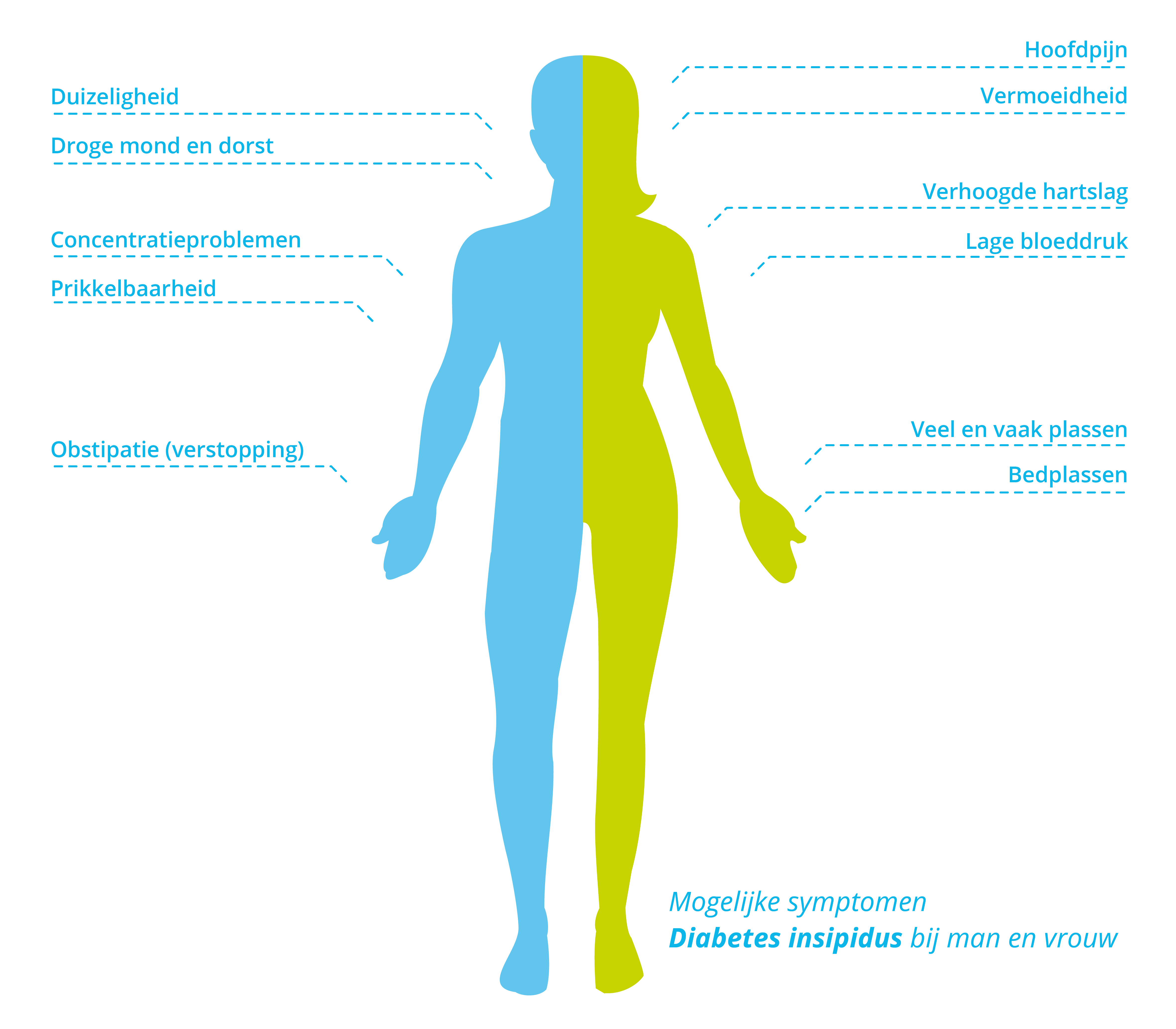 Symptomen van diabetes insipidus bij mannen en vrouwen